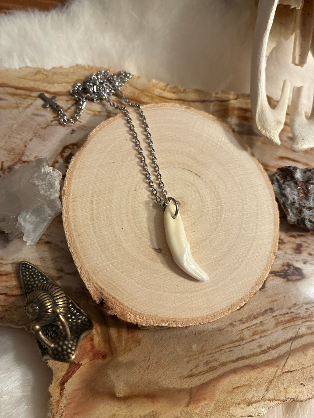 Coyote Tooth Necklace