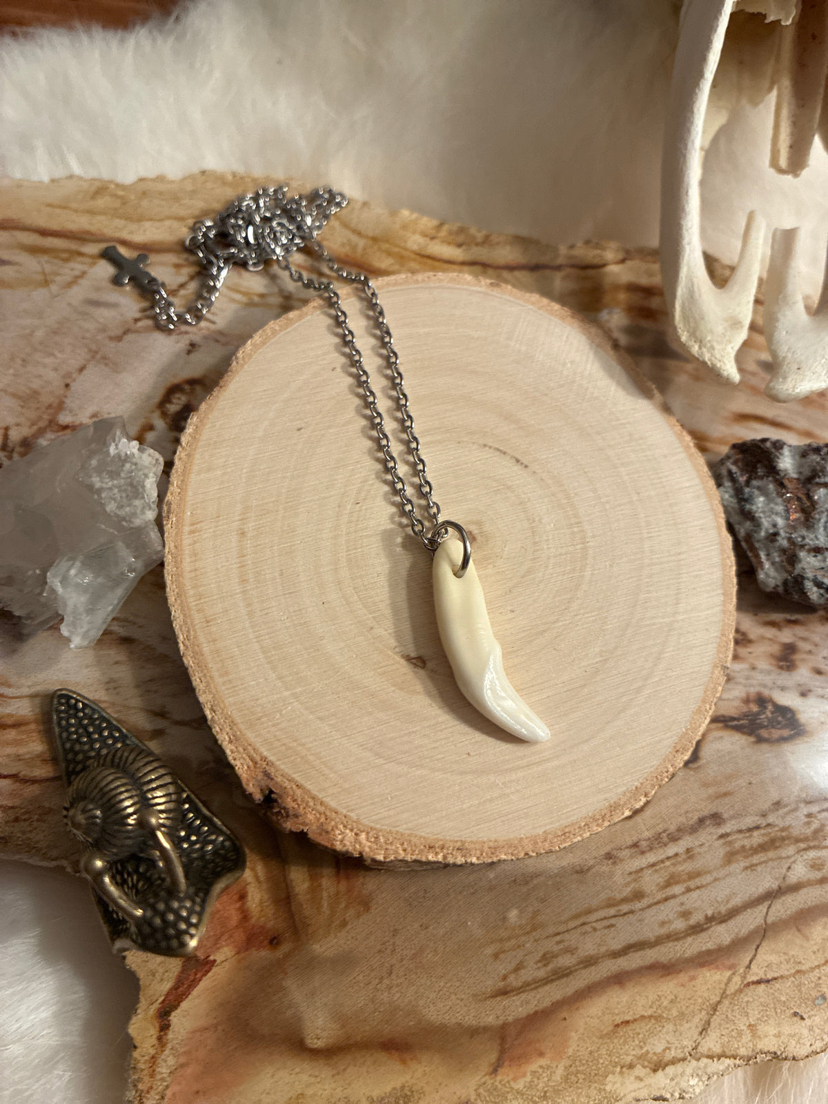 Coyote Tooth Necklace