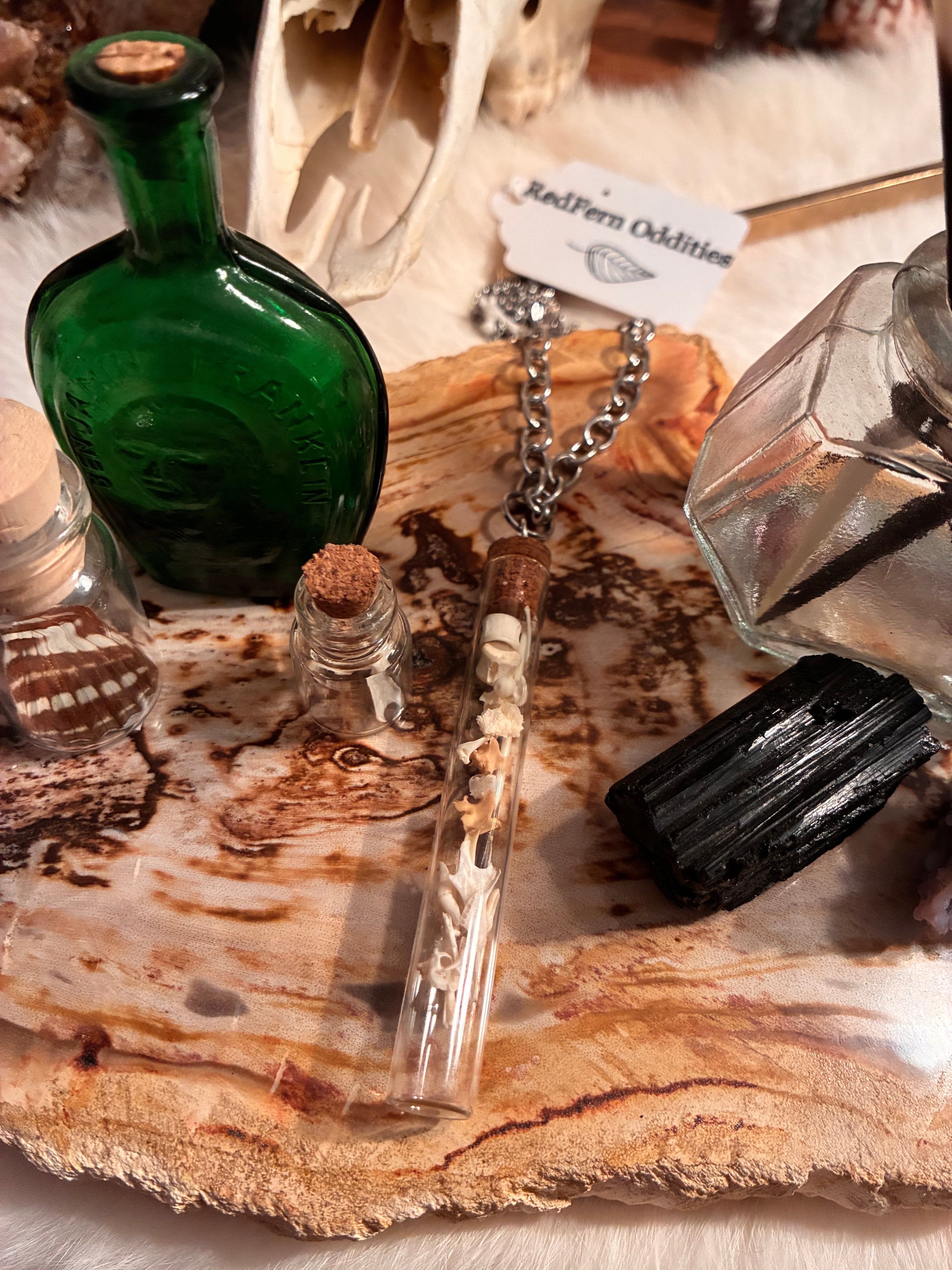 Bones In A Bottle Necklace