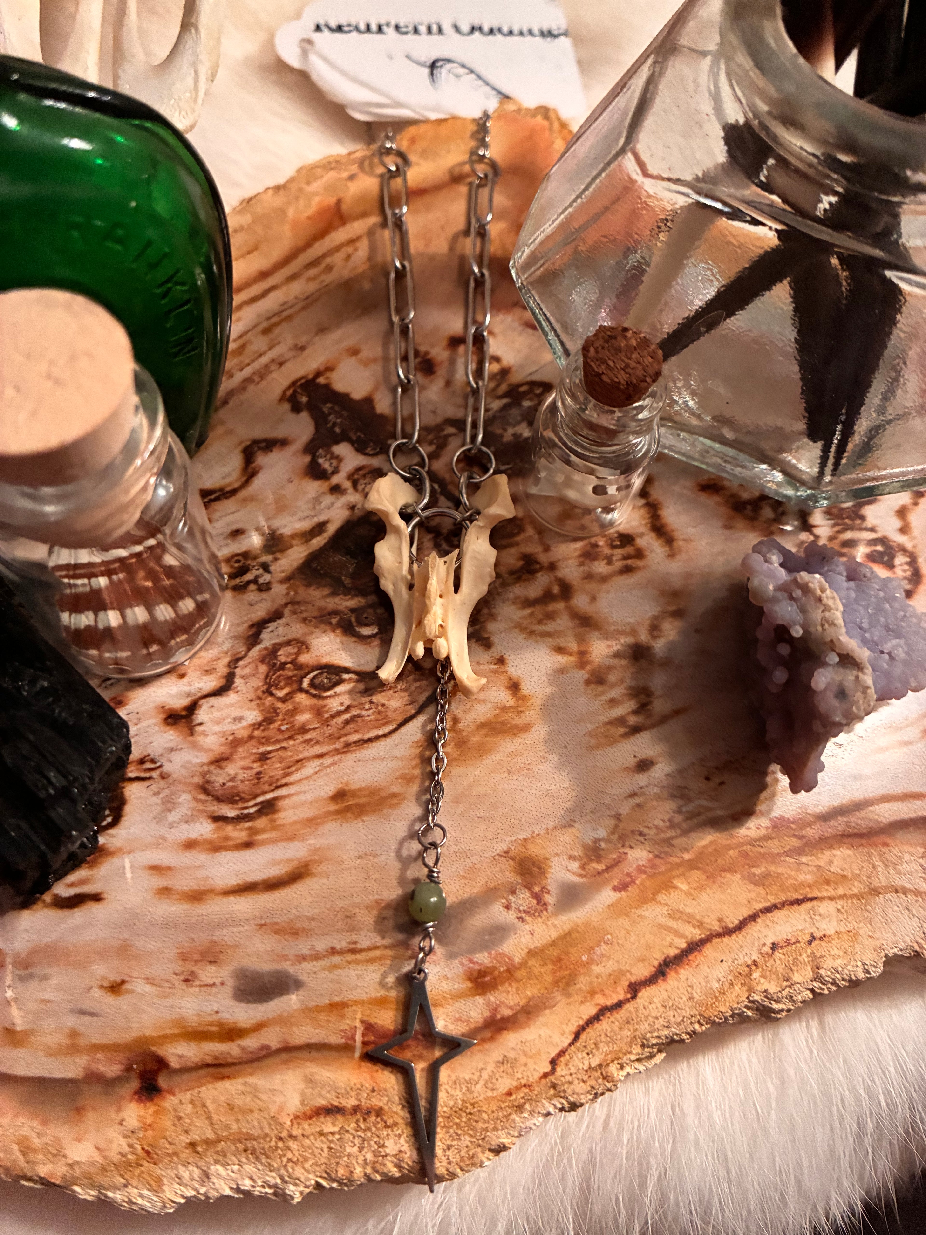 Pelvis Bone Necklace