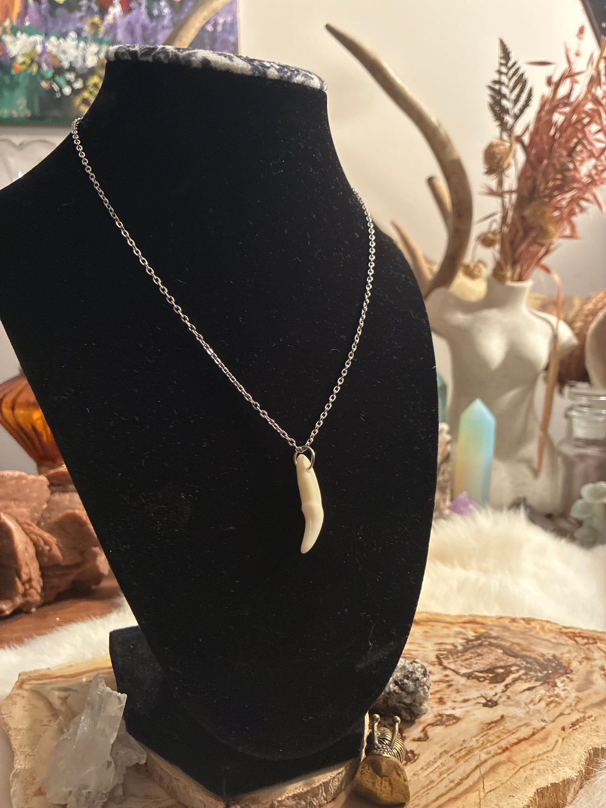 Coyote Tooth Necklace